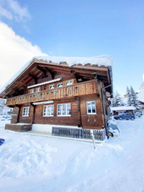 Comfortable chalet close to ski slopes